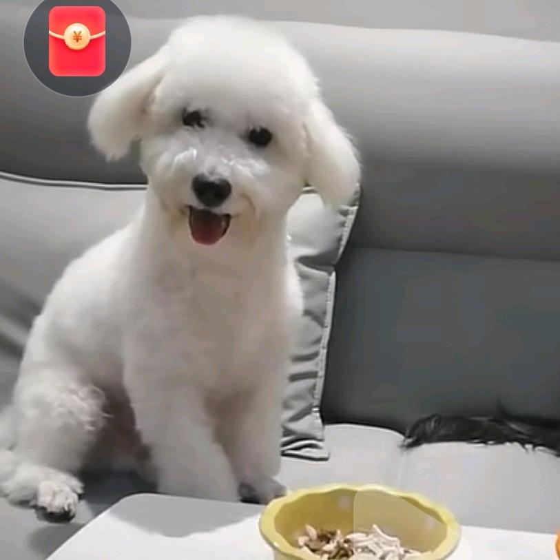 小糖糖呀@