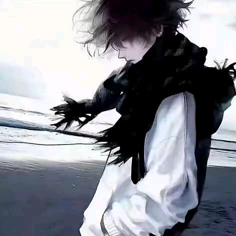 是只