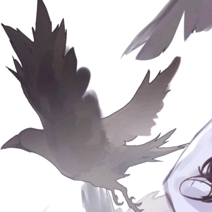 月移花影见飞鸿