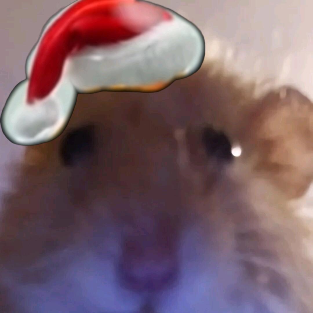 取什么名字好呢十