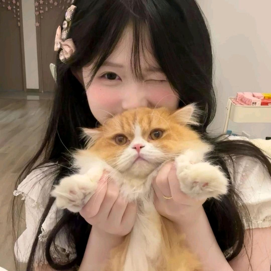 加菲猫.