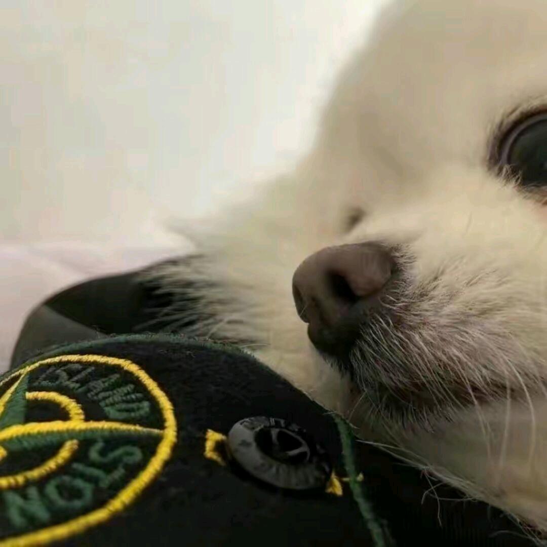 王法岁