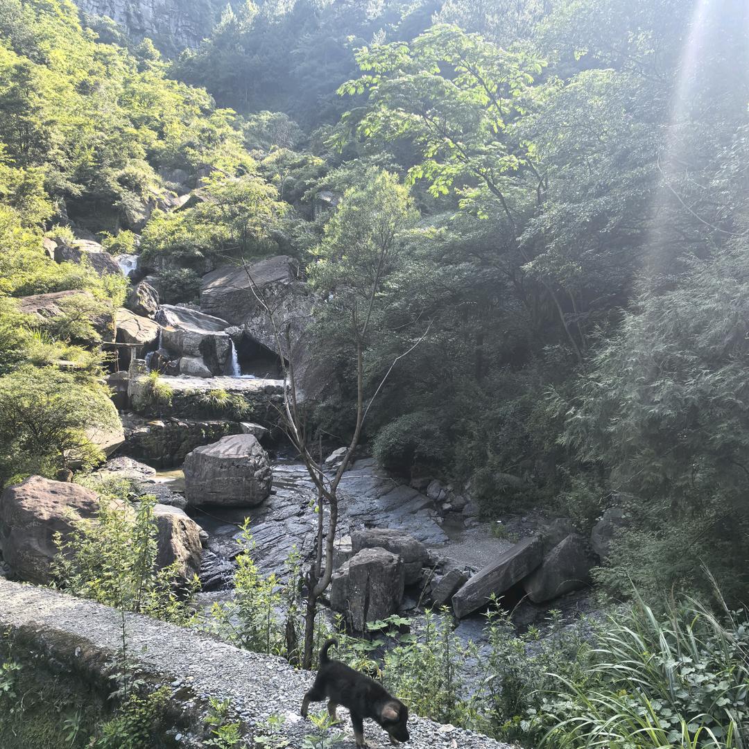 随😊缘