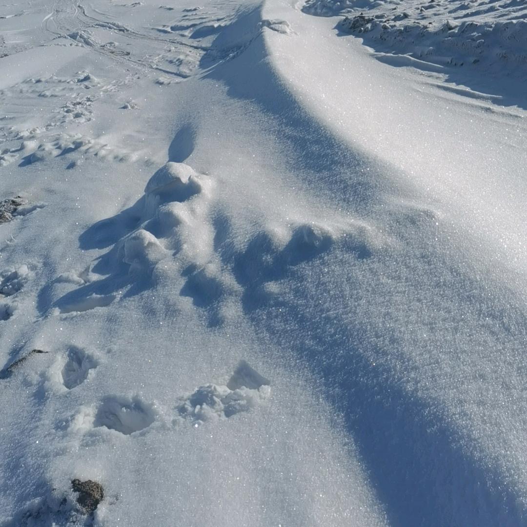 郭家庄