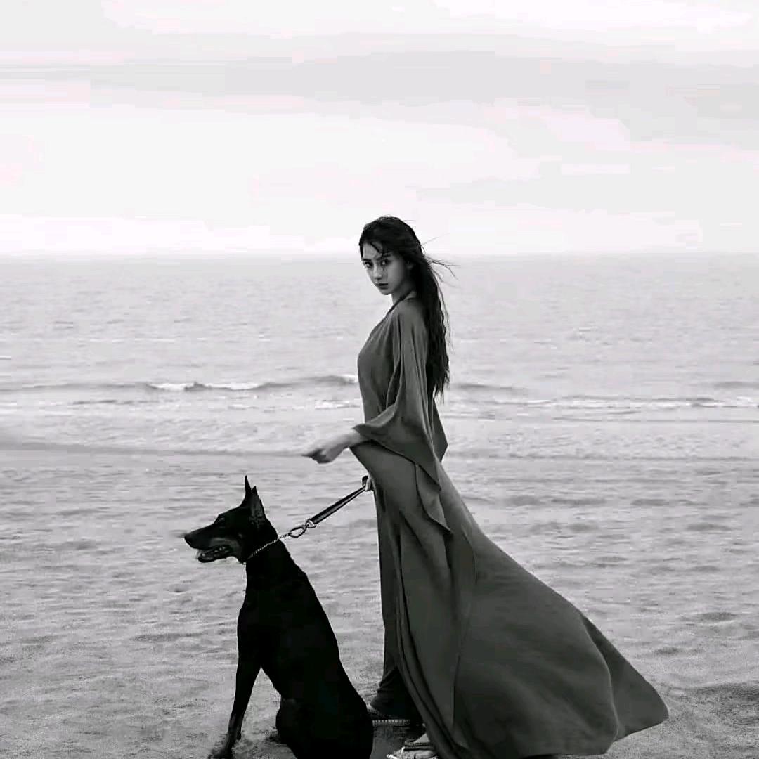 何为真诚