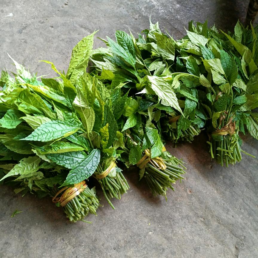 脚切小锅酒704542662577