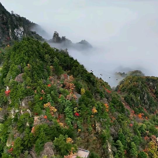 随遇而安Liu