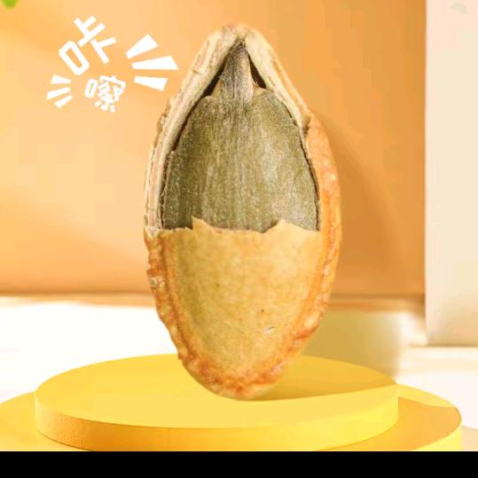 学文