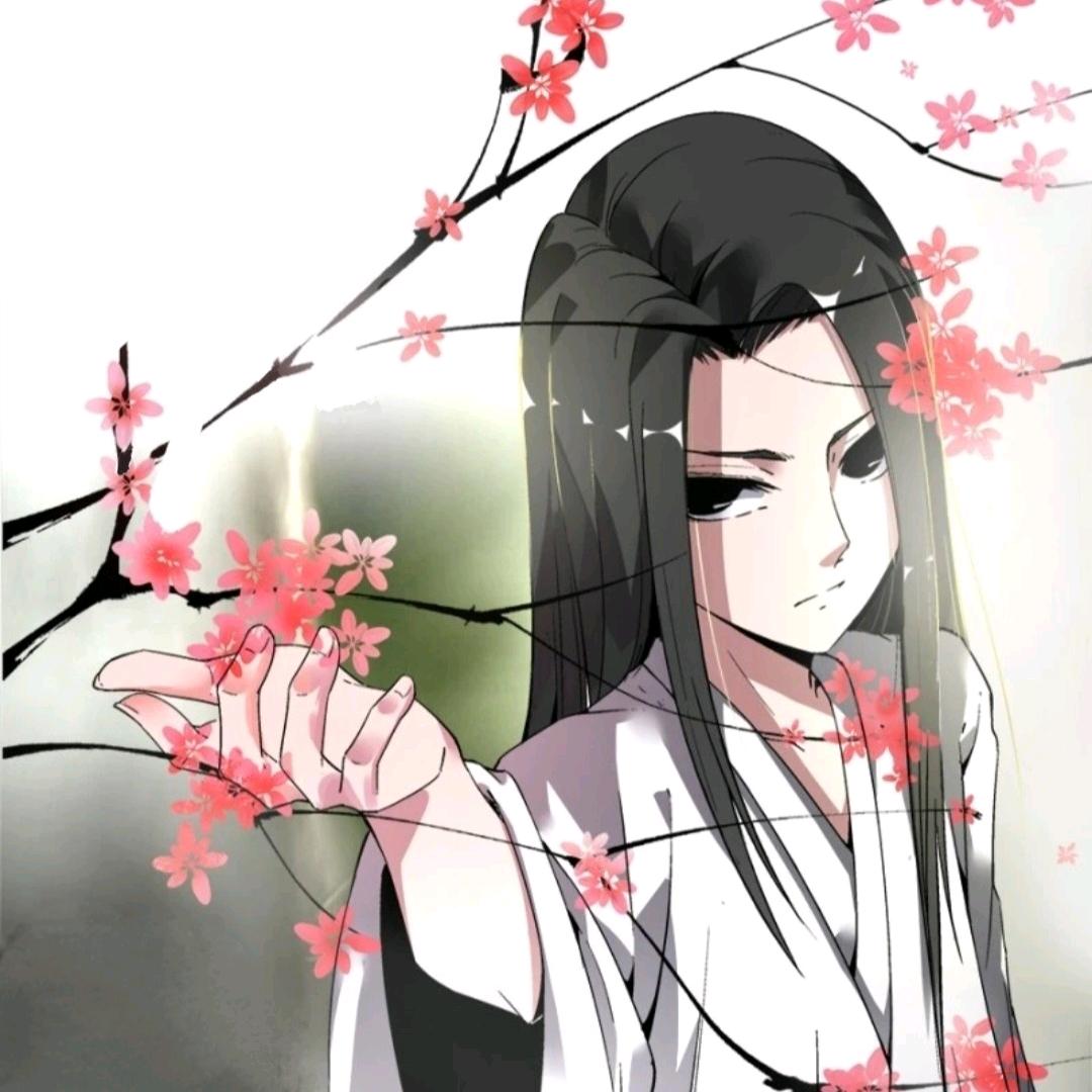 柳贯一insist