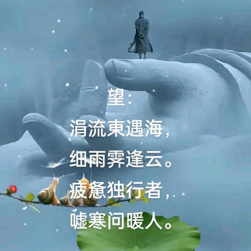 尘世孤行者