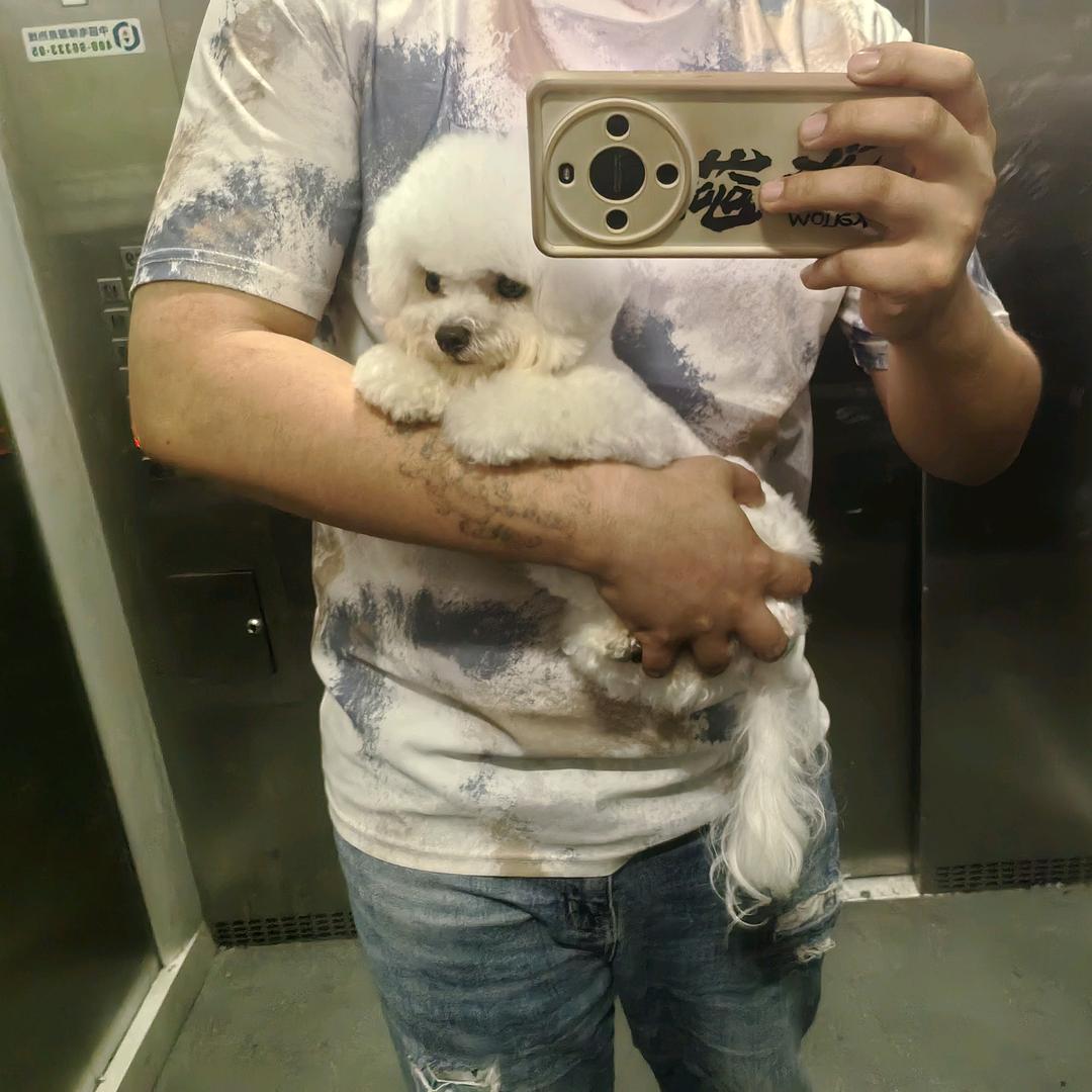 诚信宠业（鉴定狗狗，收售猫狗）