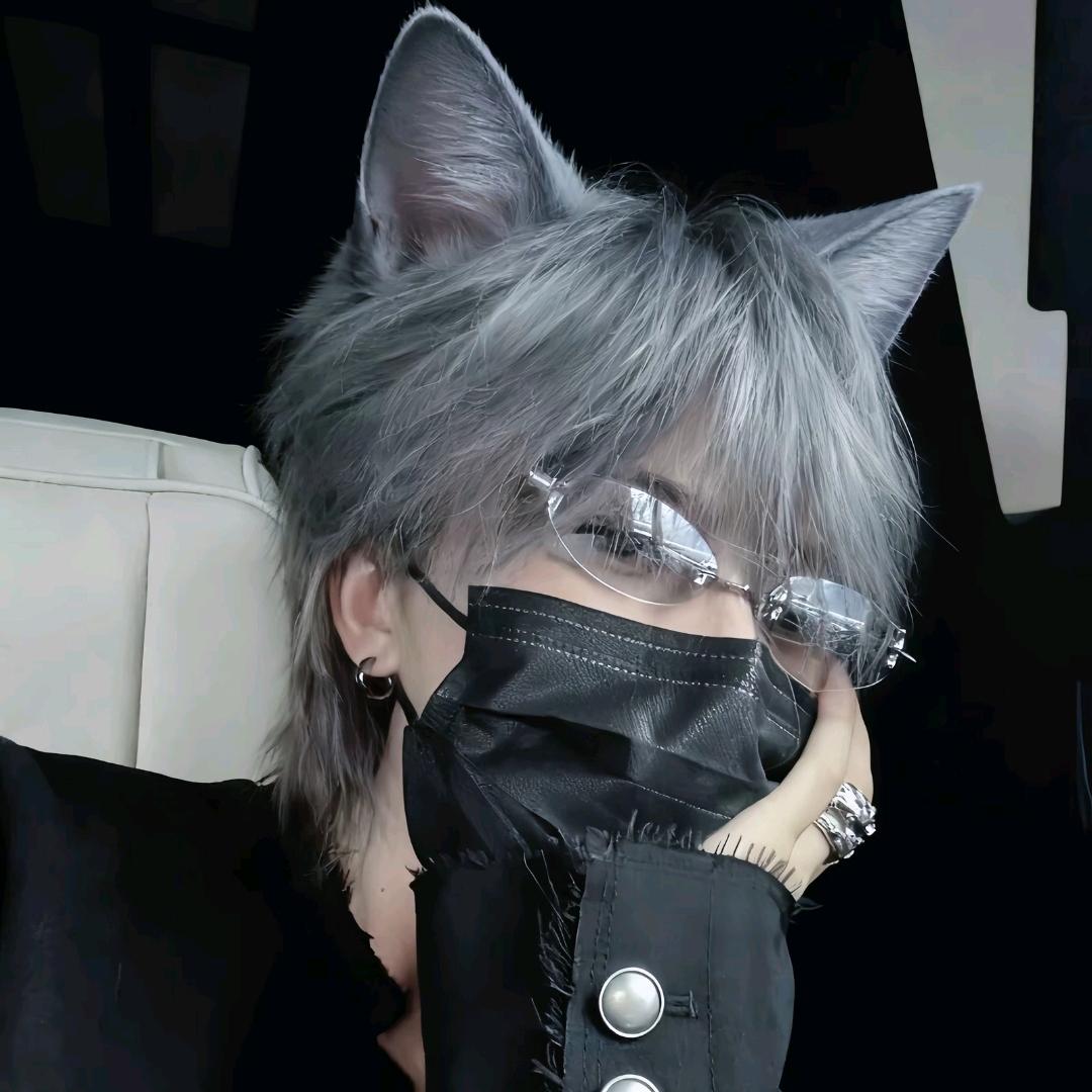 小猫🐱头盔