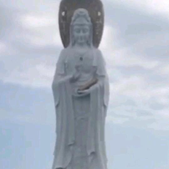 提生自己