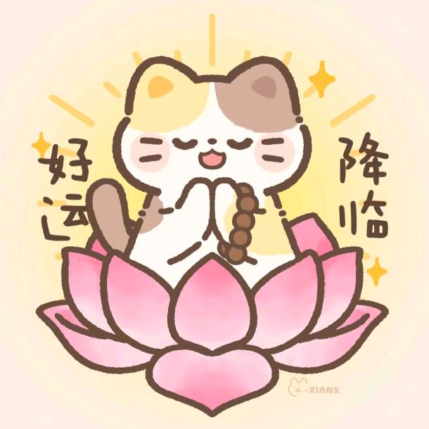 无敌暴暴龙