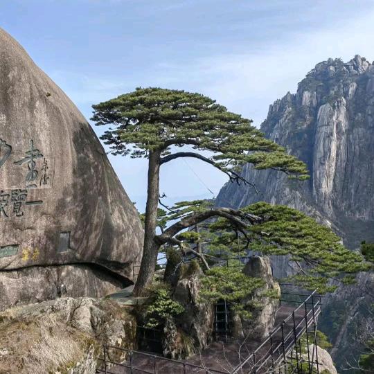 *^_^*小戴(木工装饰)