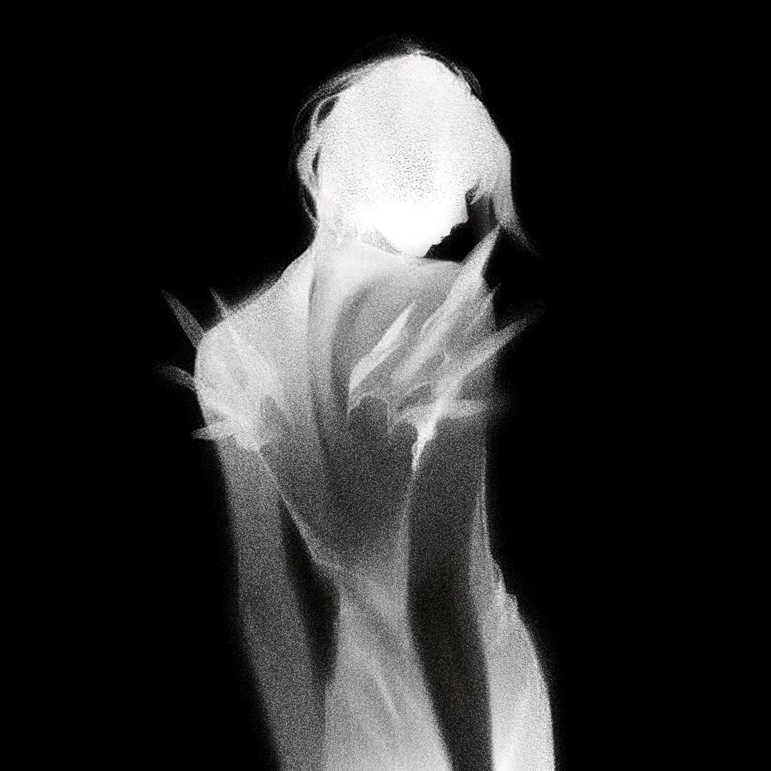 椿枳狸