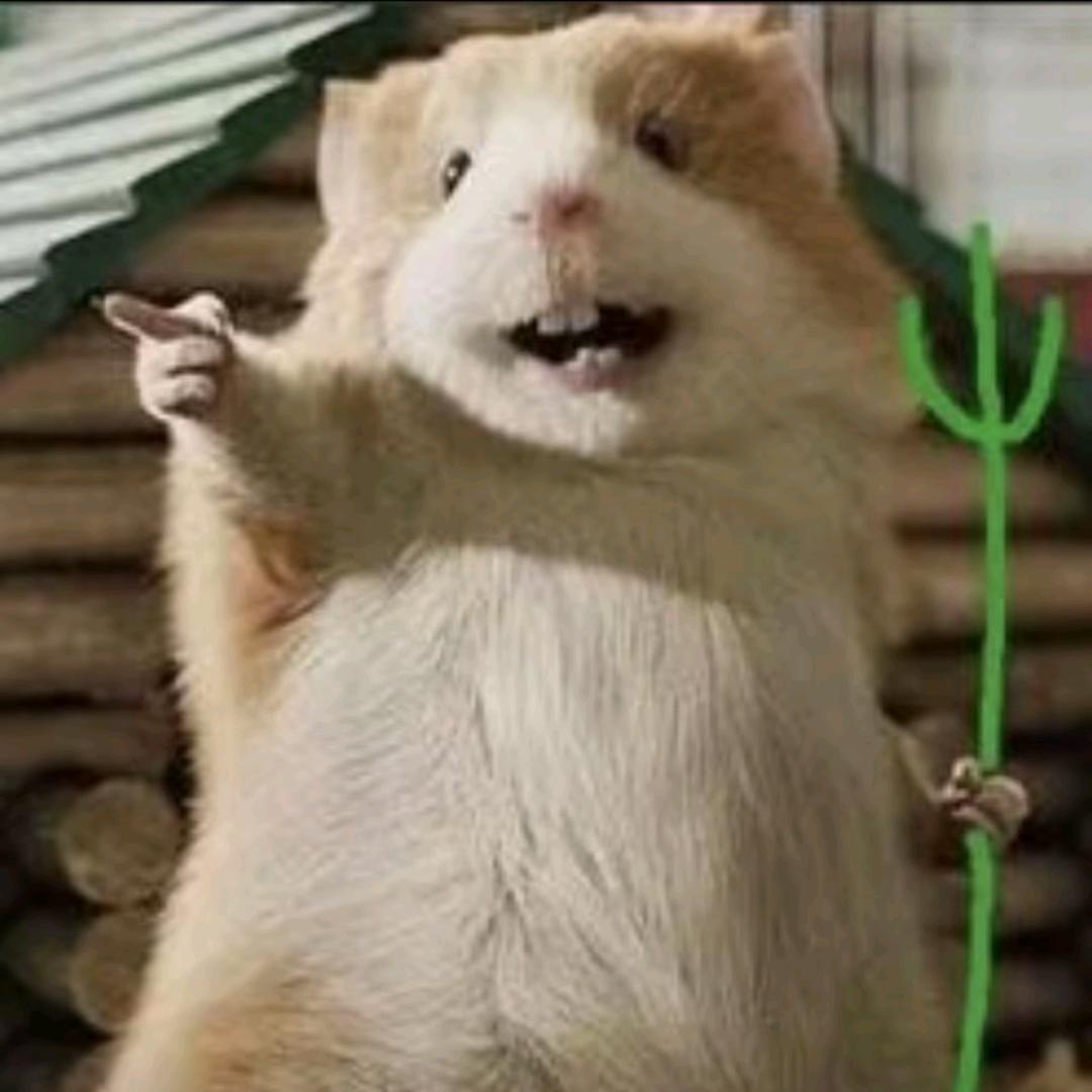 终有一日同风起