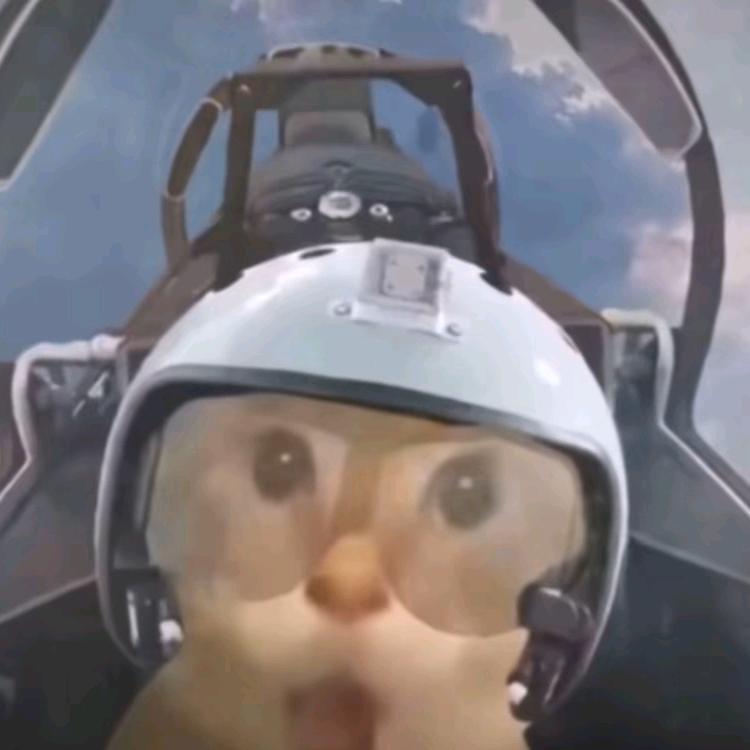 庭满园（三角洲行动)