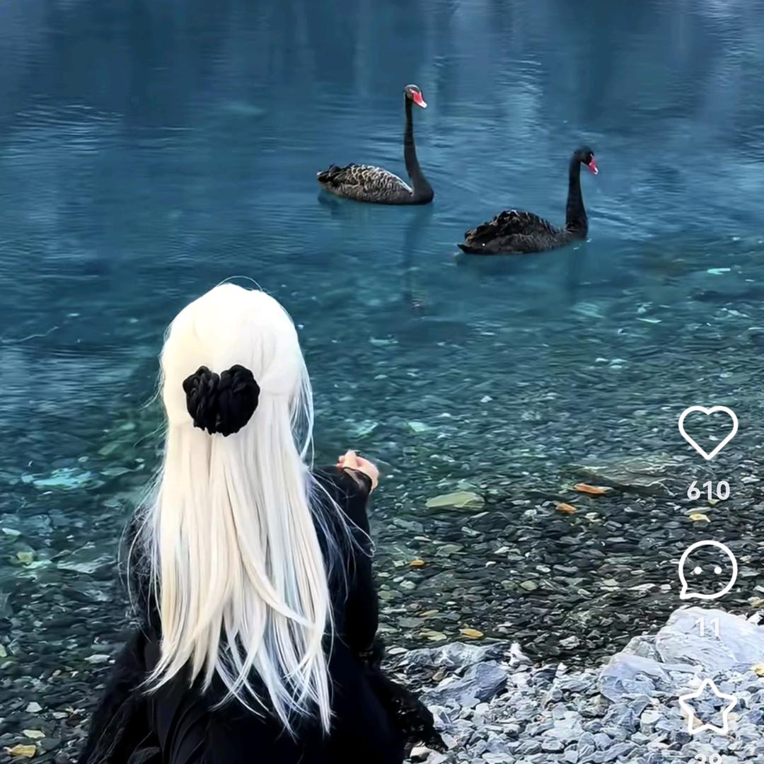 “   眼花缭乱  ”..