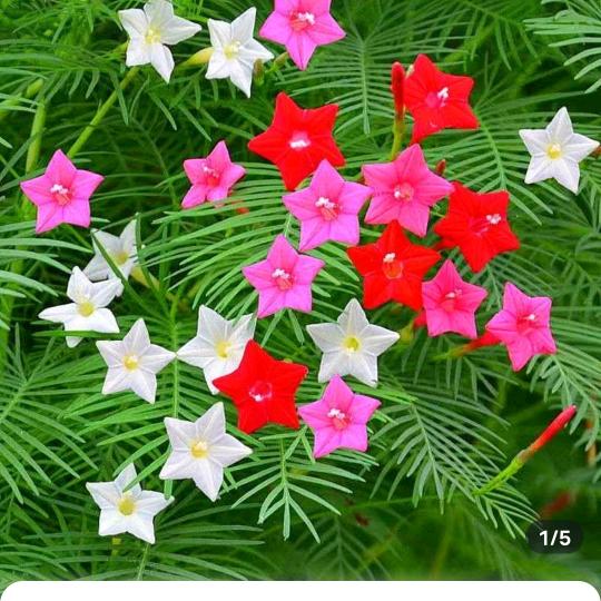 会笑的眼睛很美(˵¯͒〰¯͒˵)