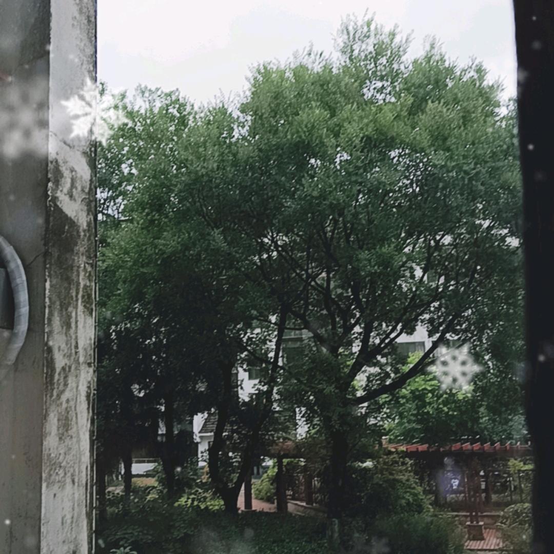 张德广