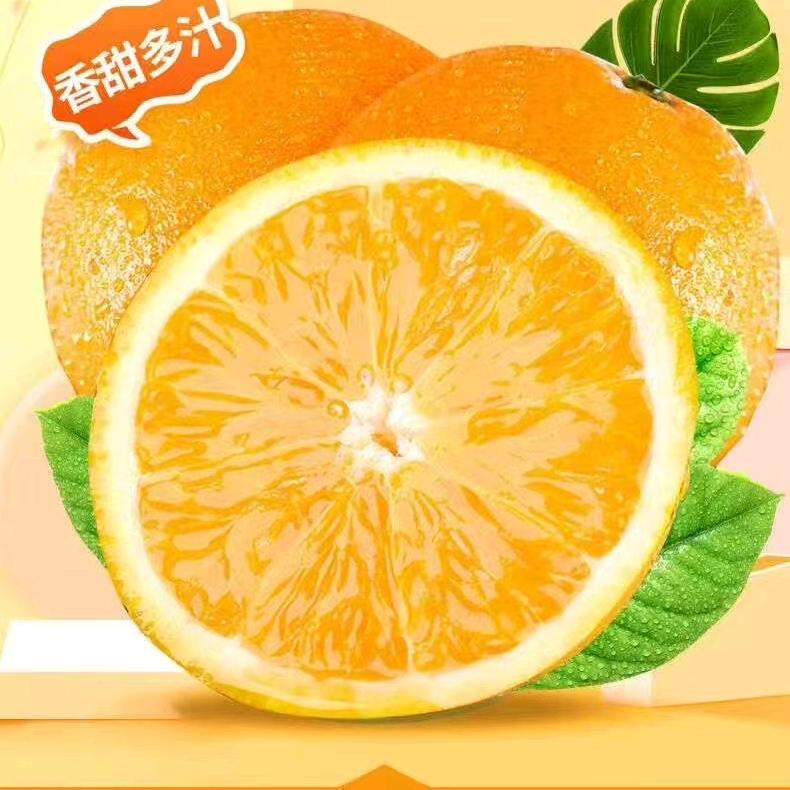 左撇子四季橙