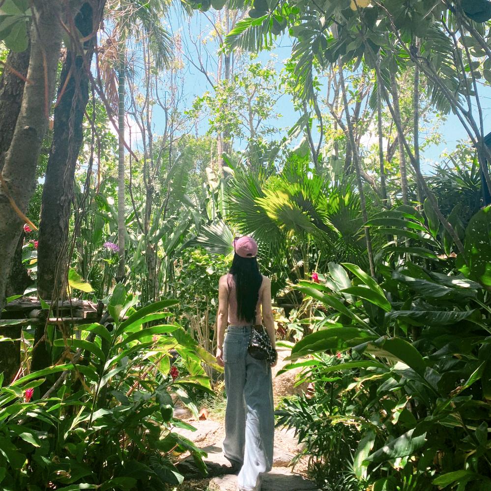 𝙃𝙚𝙡𝙞𝙤𝙩𝙧𝙤𝙥𝙚