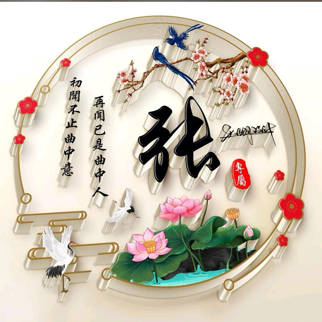 河北（张先生）