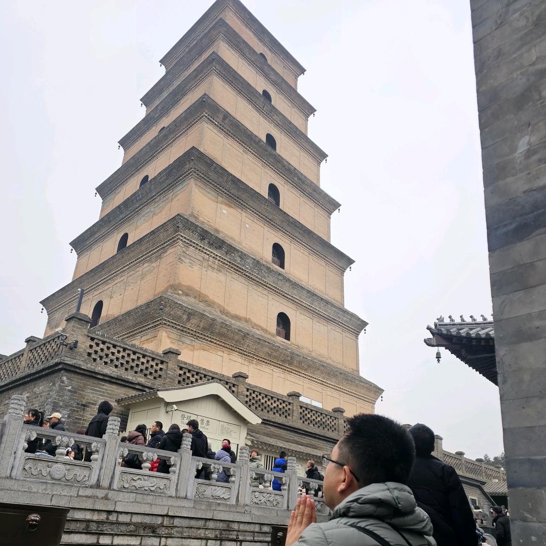 英俊的心