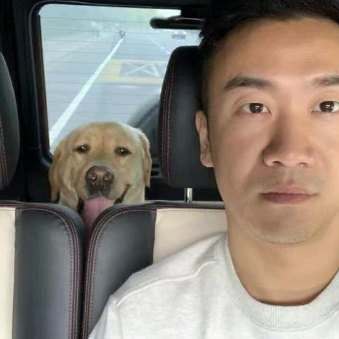 不属于我的人生