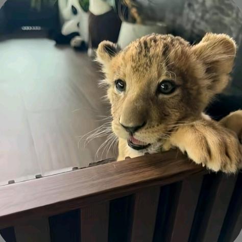 想说爱你不容易