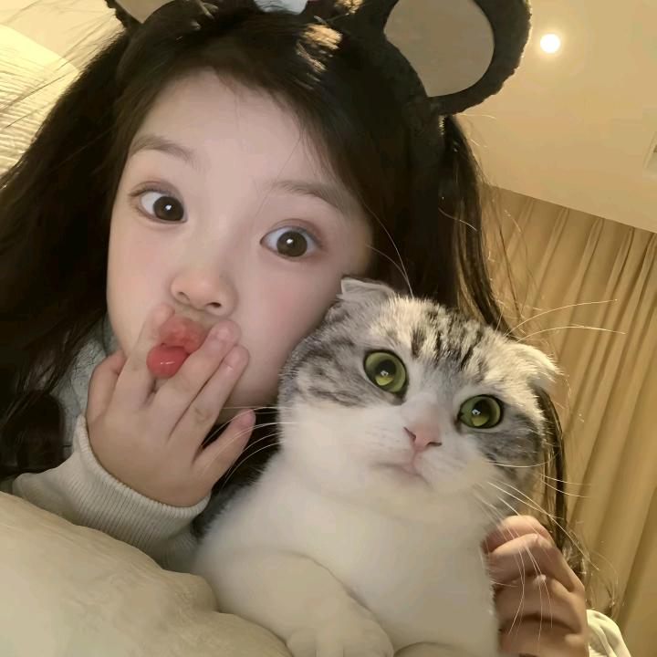 ——展开更多v     收起∧