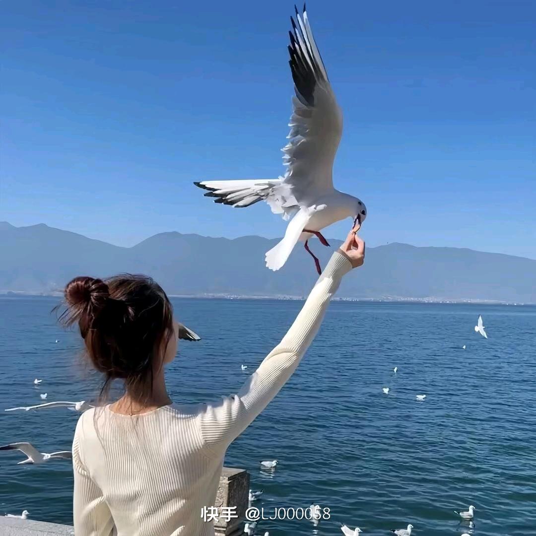 ༂9凉城ジ无爱༆