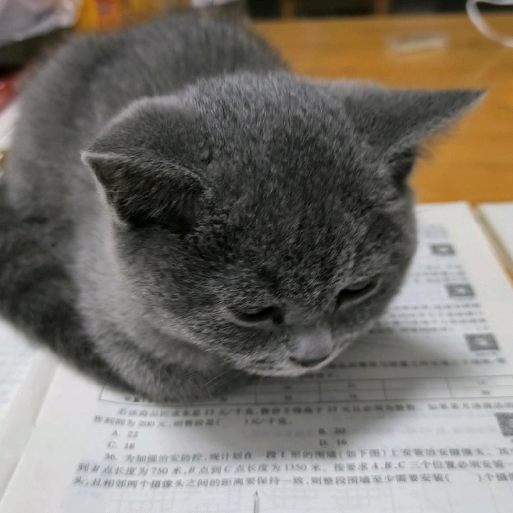 思无涯(一起上岸吧)