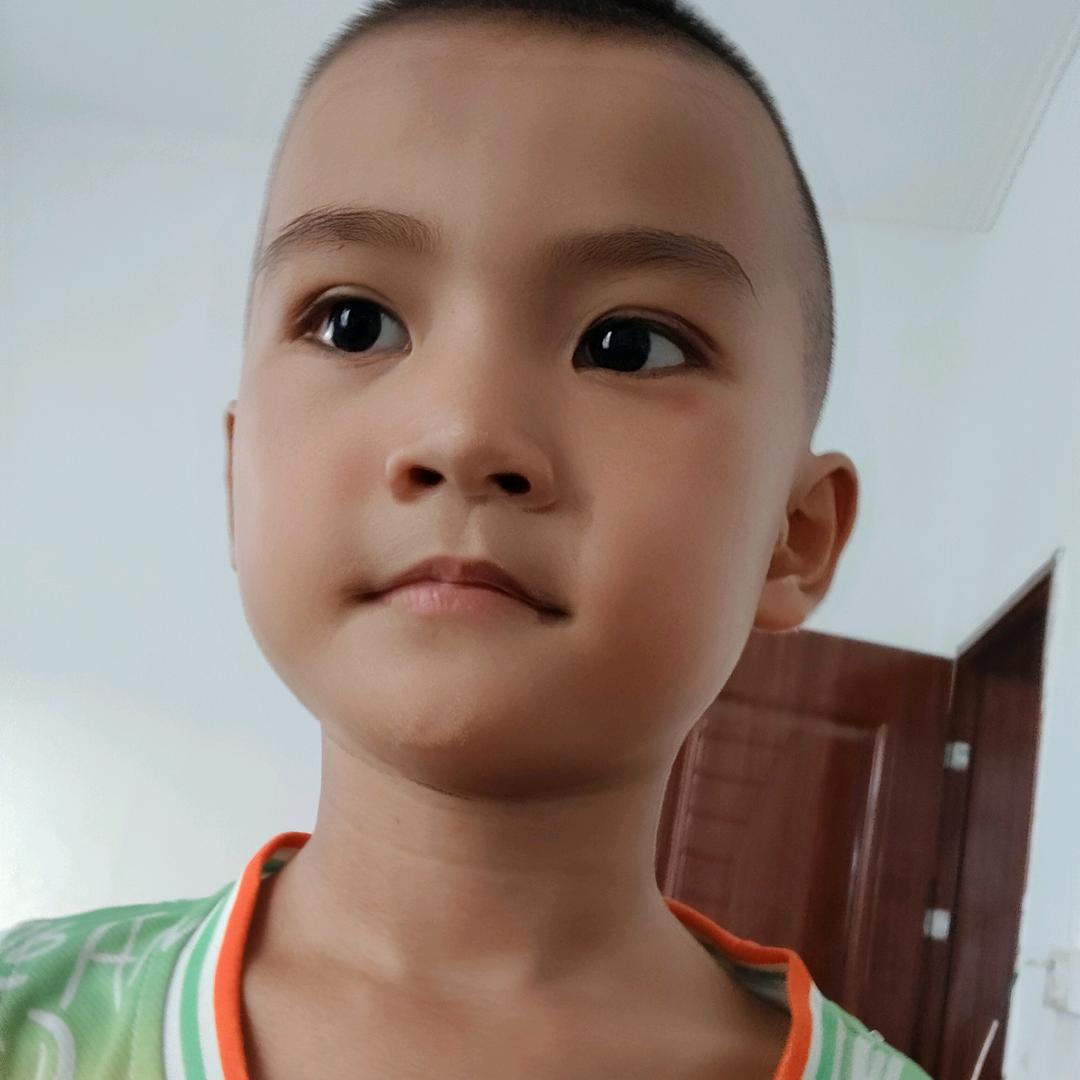 湛江东海岛东山镇，电信业务办理