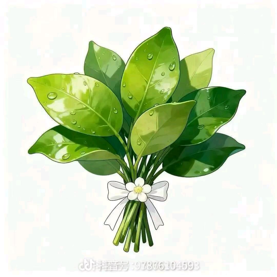 ʚ 🧸公主请锻炼 ദ