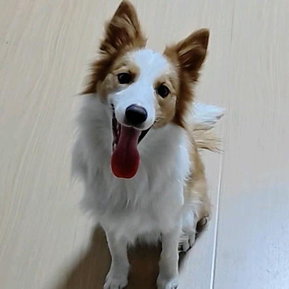 椰果果果果果果