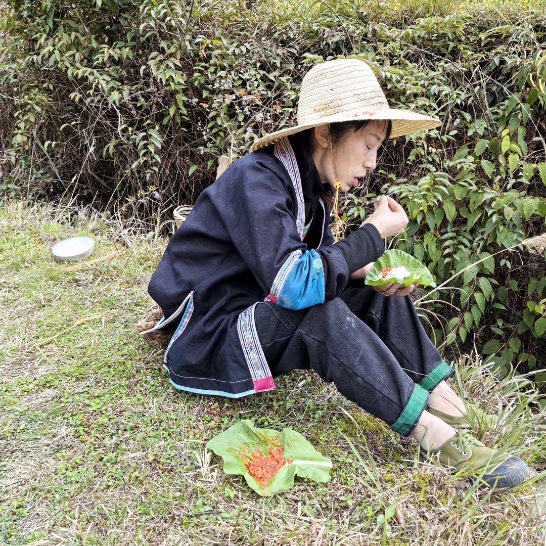 田野香香农产品