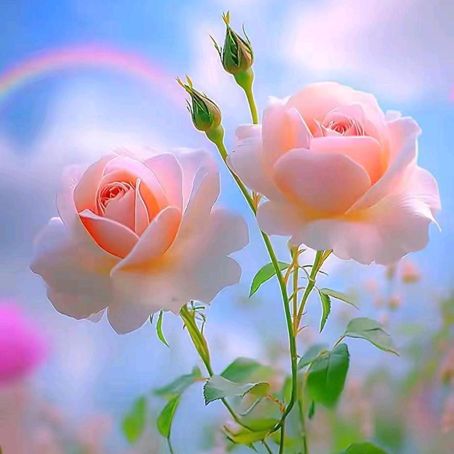 我与春风皆过客