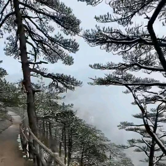 詹桂英