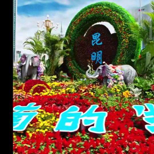 顺风顺水