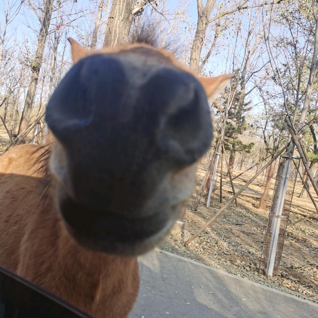 找一个犄角旮旯