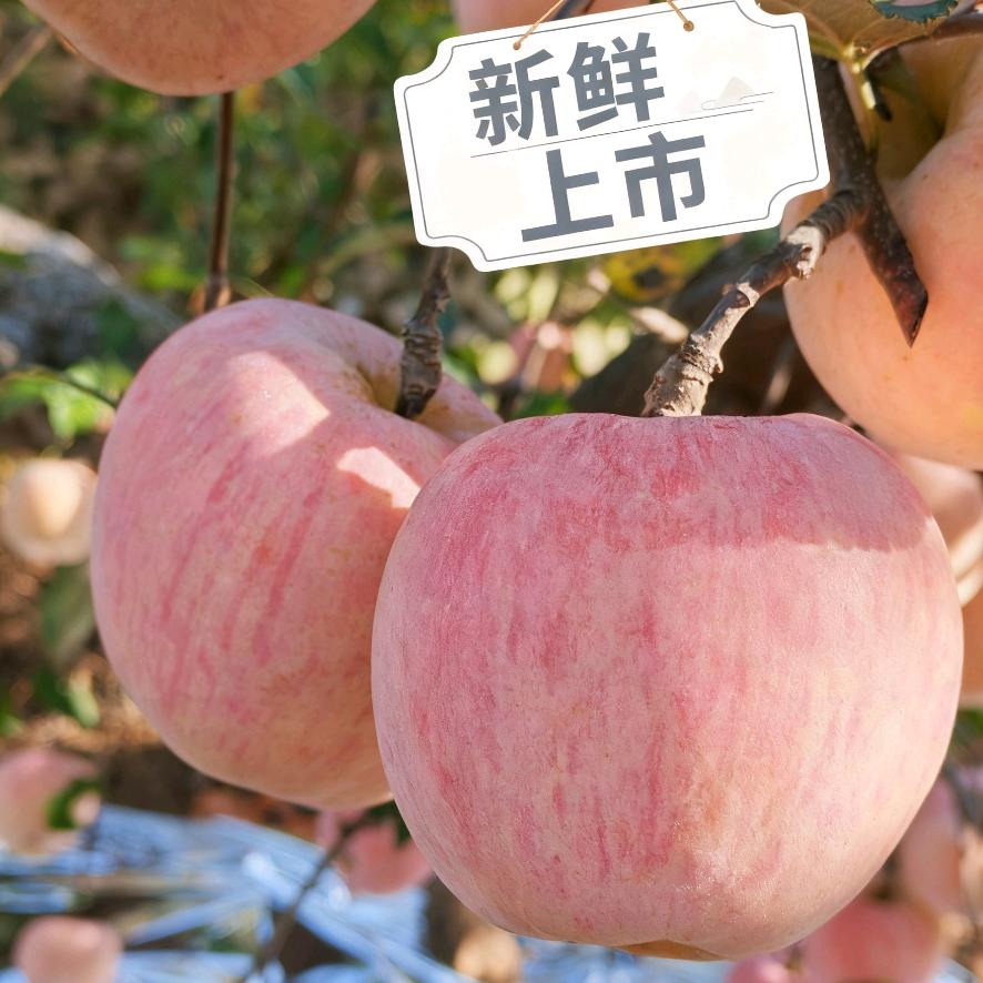 辽西特产产地新鲜直达