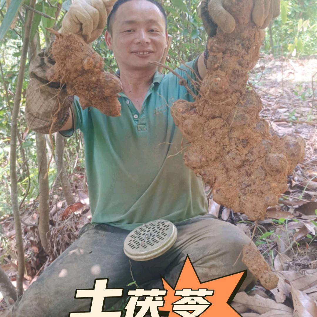 罗十七