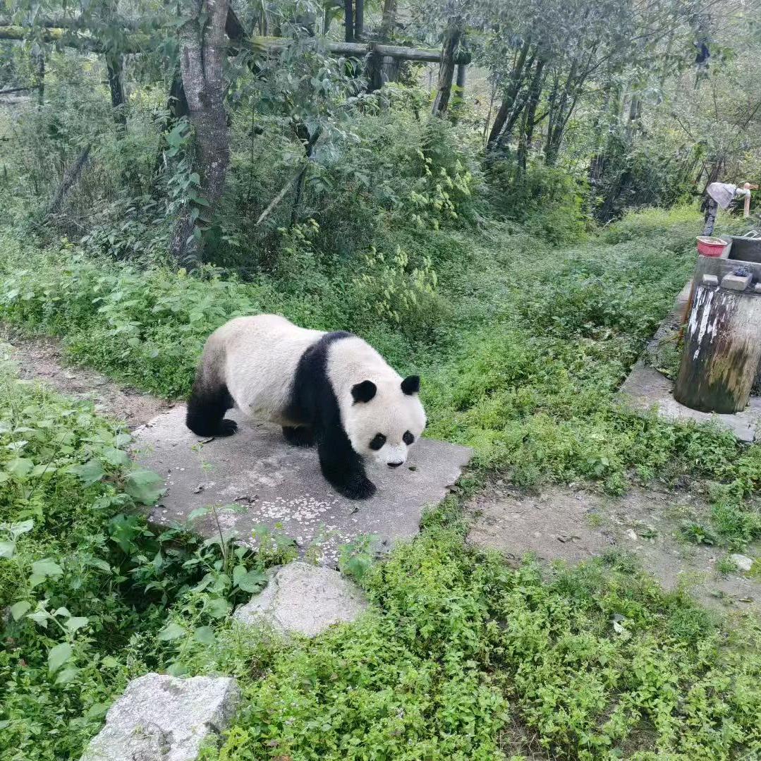 高价回收黄金