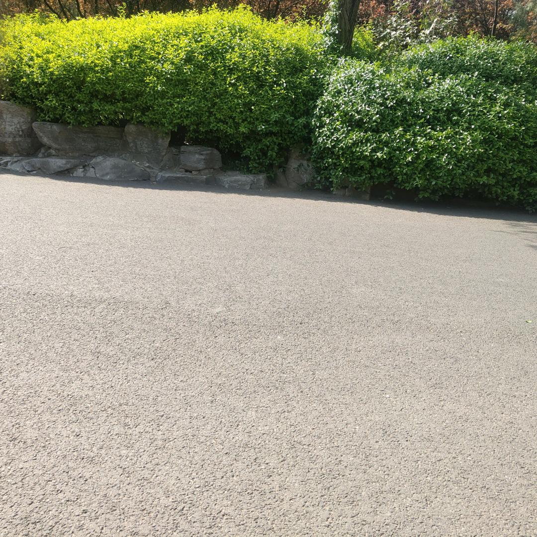 一点不粗鲁先生