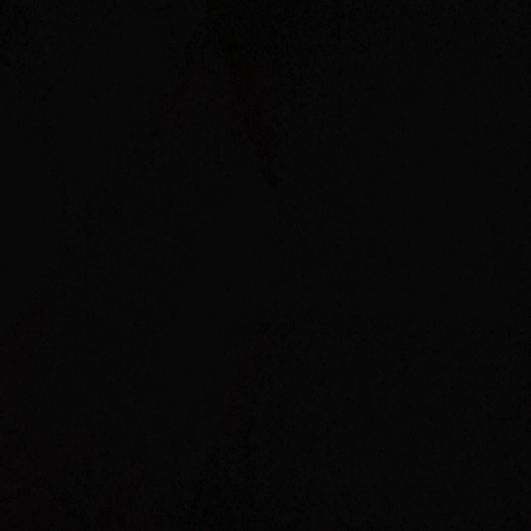 逐光而行，