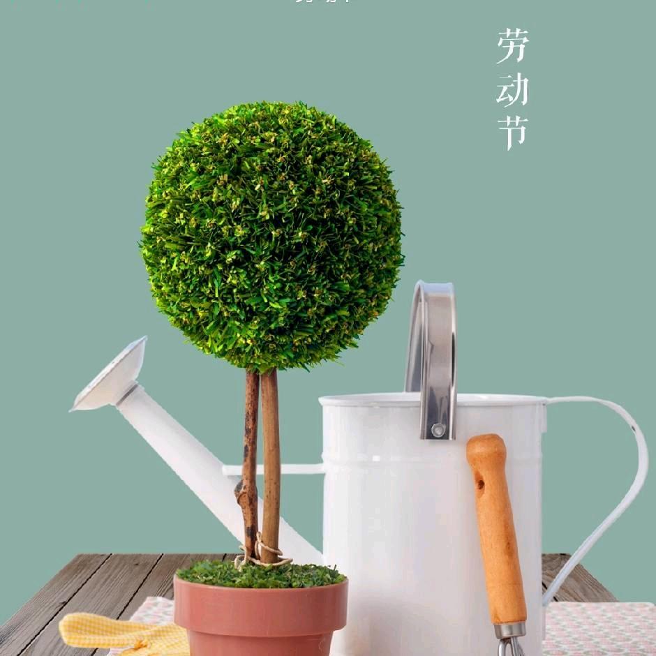 感恩🍒的心🍒兰