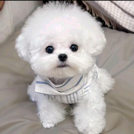 🇨🇳🇨🇳徐国华🇨🇳🇨🇳