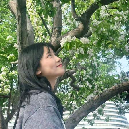 别玩你那破手机了！